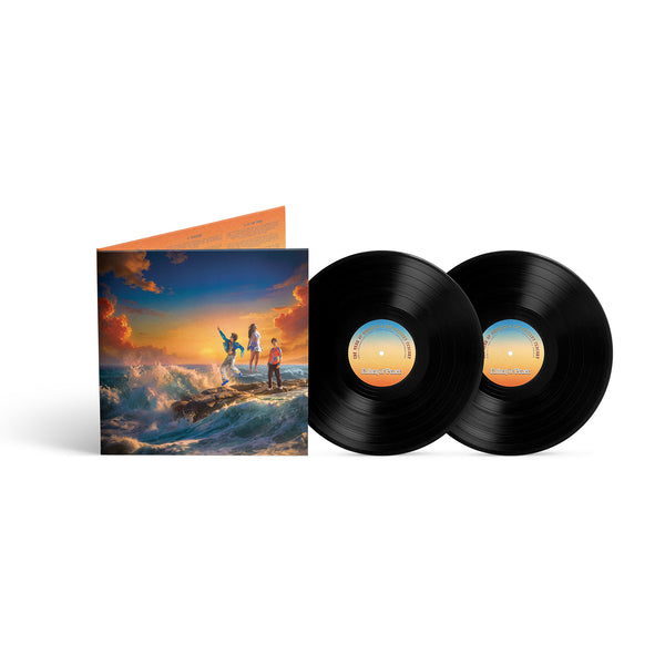 𖤓 Standard Edition Vinyl 𖤓