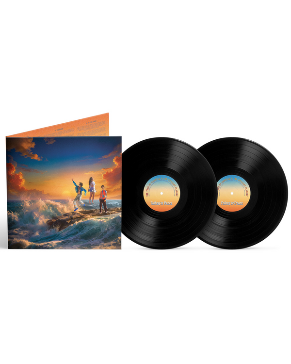𖤓 Standard Edition Vinyl 𖤓